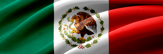 Mexican Flag