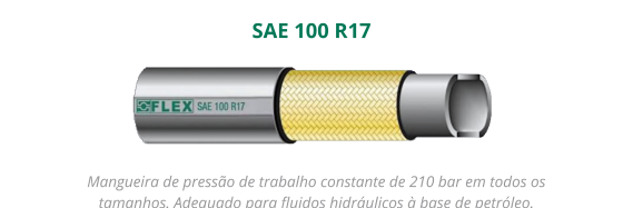 MANGUEIRA SAE 100 R17