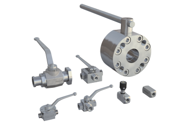 Multi-port ball valves