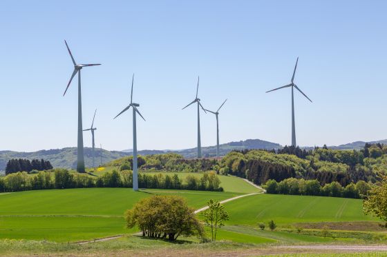 Wind power park