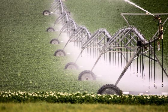 Agriculture Application