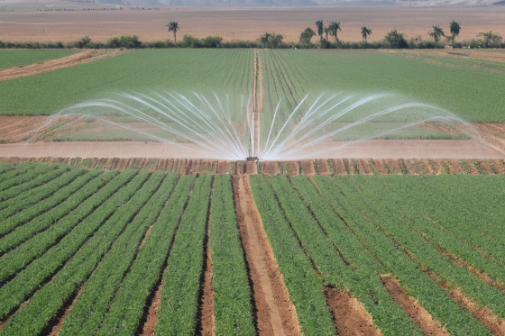 Stainless Steel Applications